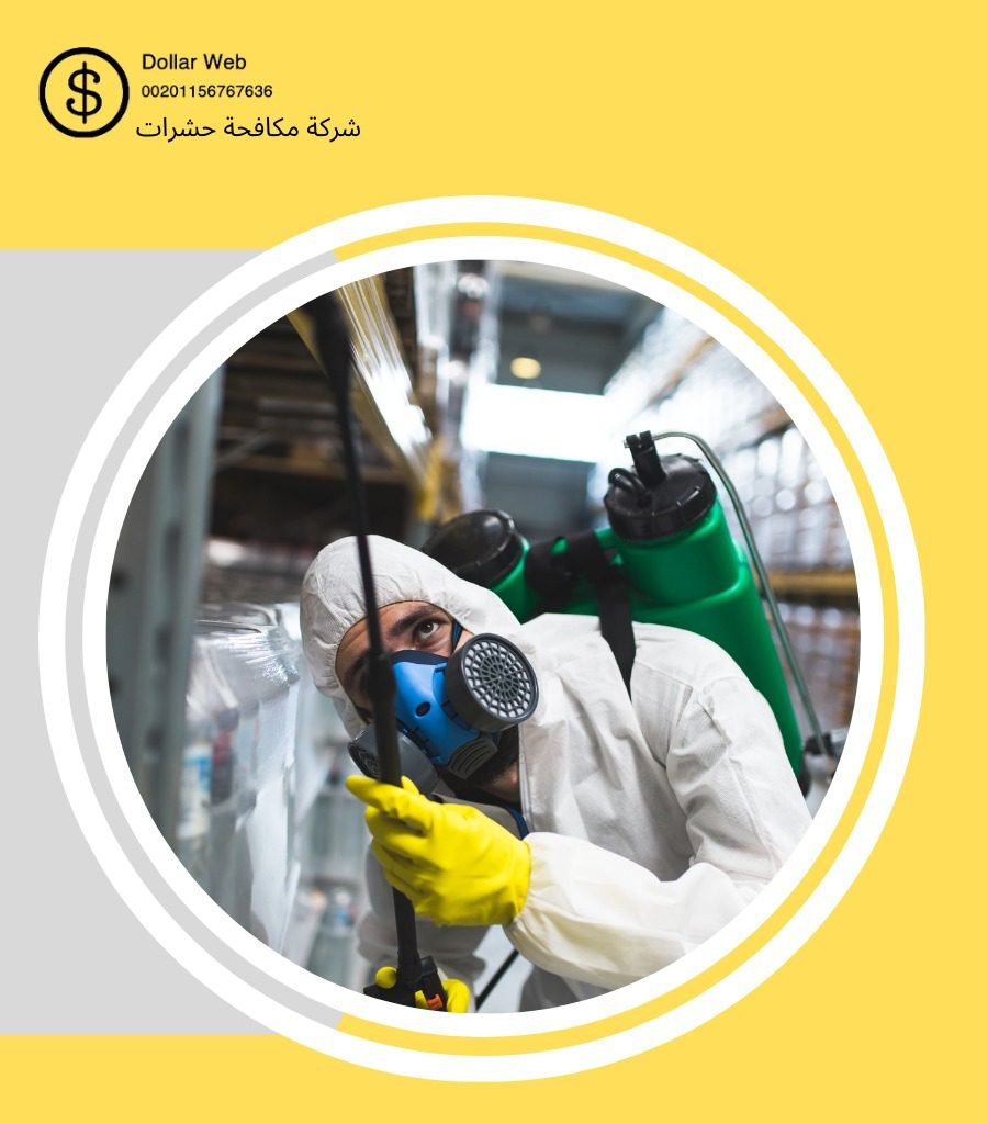 مكافحة حشرات أبرق بالكويت