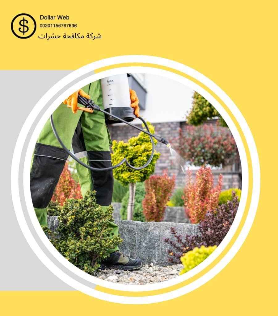 ابادة حشرات الروضه بالكويت