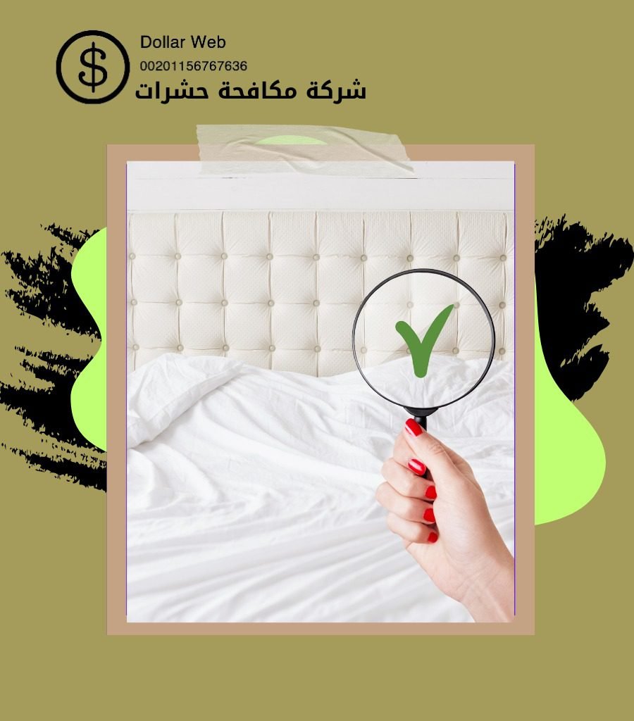 مكافحة حشرات القيروان بالكويت