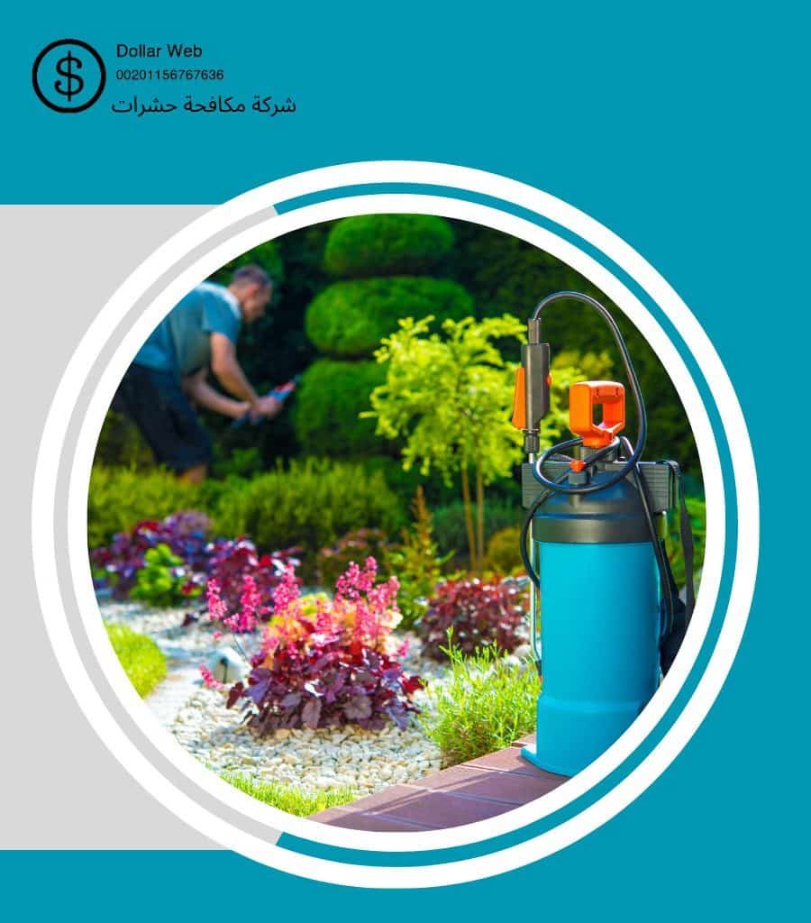 مكافحة حشرات الجهراء