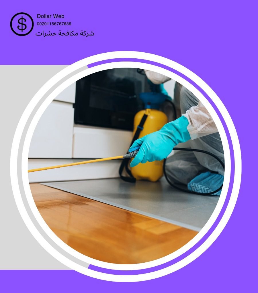 رش حشرات الفحيحيل بالكويت