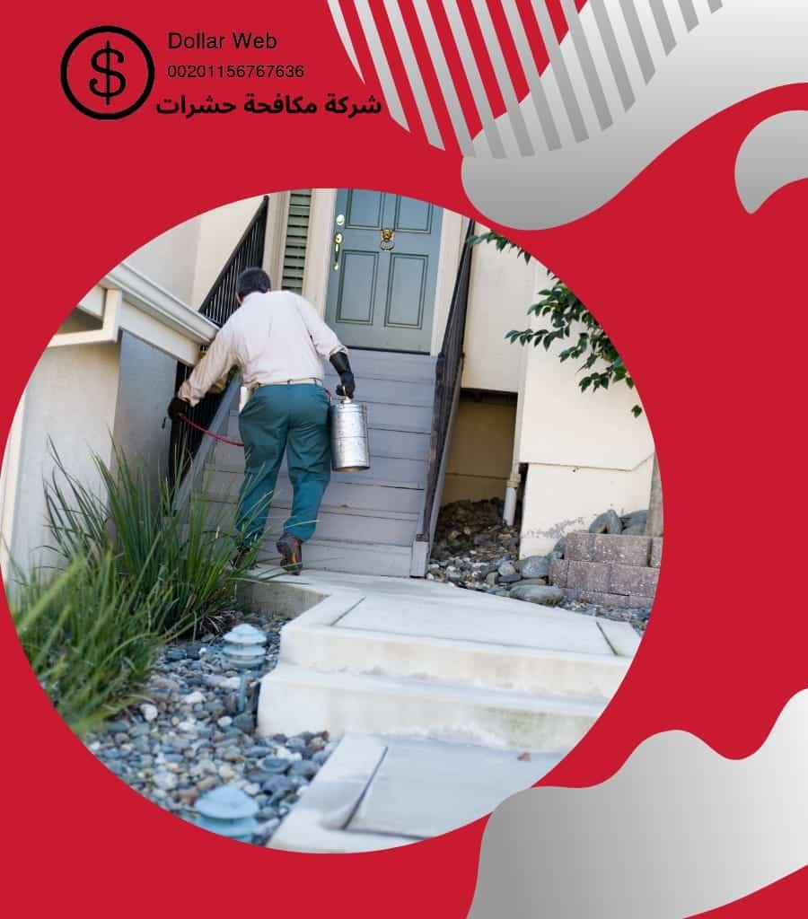 مكافحة الحشرات جابر العلى بالكويت