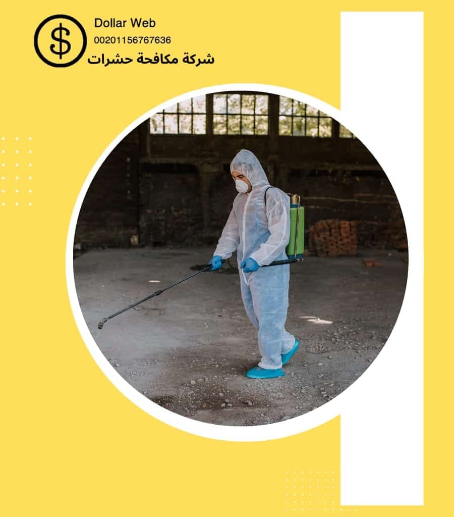 مكافحة حشرات الفنيطيس الكويت