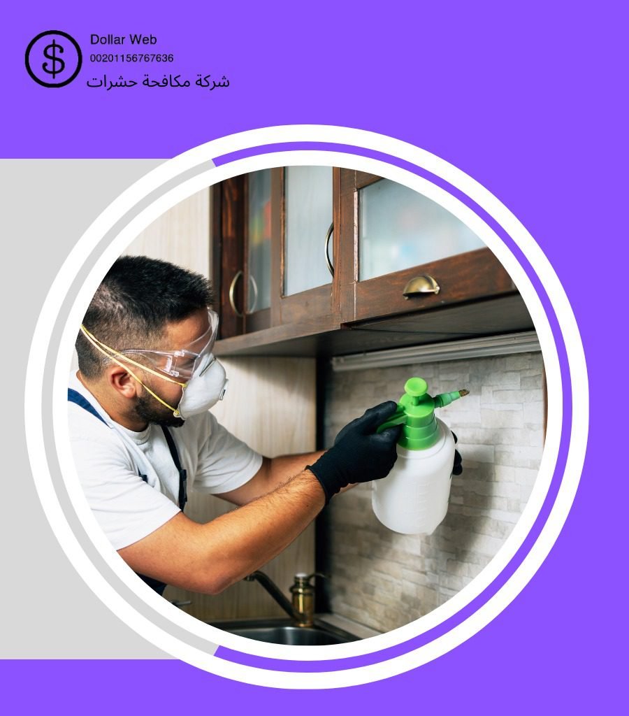 شركة رش حشرات كيفان