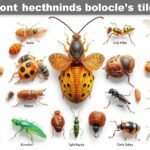 مكافحة الحشرات الطائرة والزاحفة